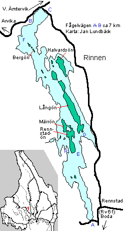 Rinnen
