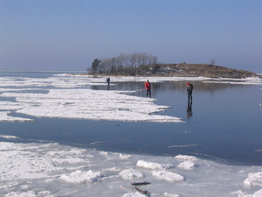Hinden-Jarlehus