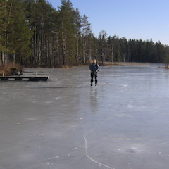 Brygga