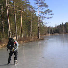 Strandnära
