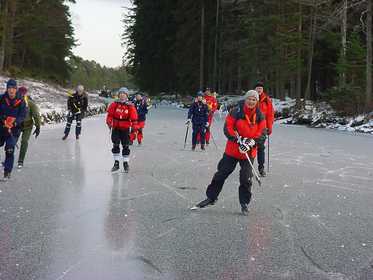 Skridskobild