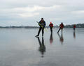 Bild 8855, Foto: Bengt Stridh