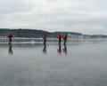 Bild 8856, Foto: Bengt Stridh