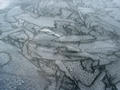 Bild 8859, Foto: Bengt Stridh