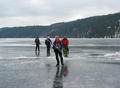 Bild 8884, Foto: Bengt Stridh